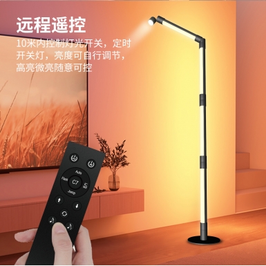 LED室内灯 - HCP204  阅读氛围落地灯